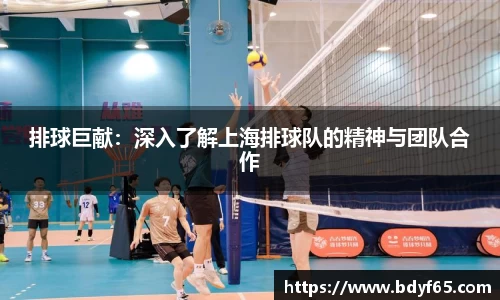 排球巨献：深入了解上海排球队的精神与团队合作